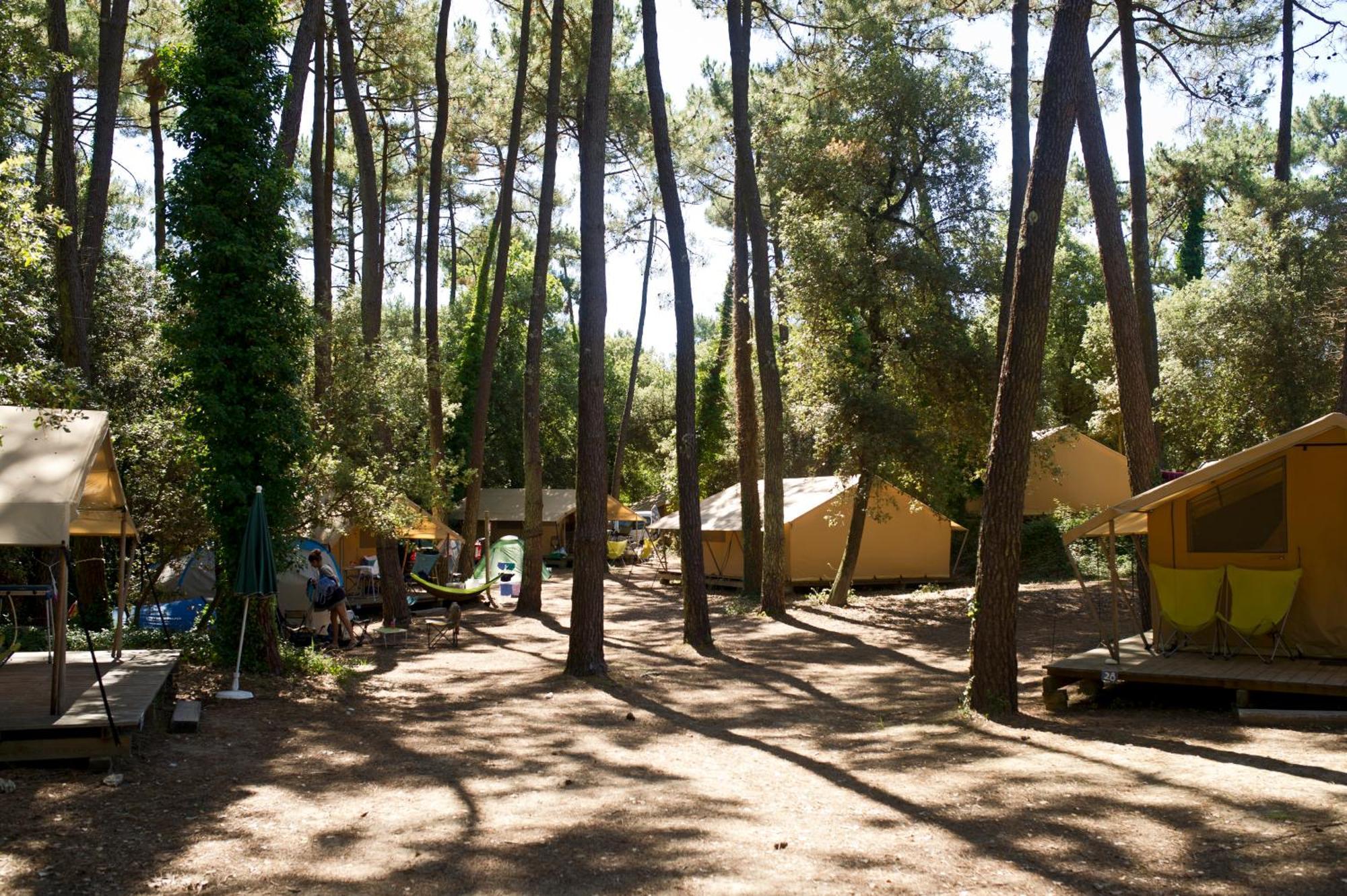 Huttopia Oleron Les Chenes Verts Dolus d'Oléron Szoba fotó