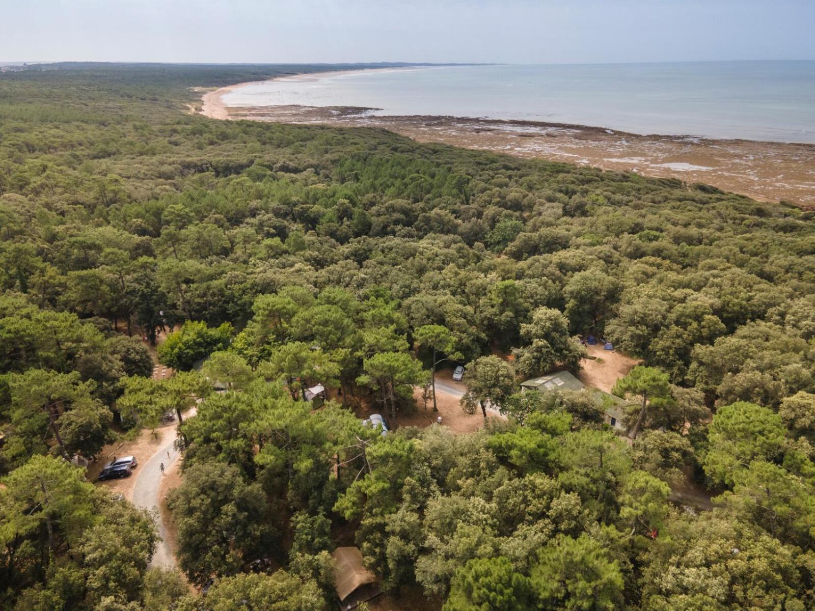 Huttopia Oleron Les Chenes Verts Dolus d'Oléron Kültér fotó